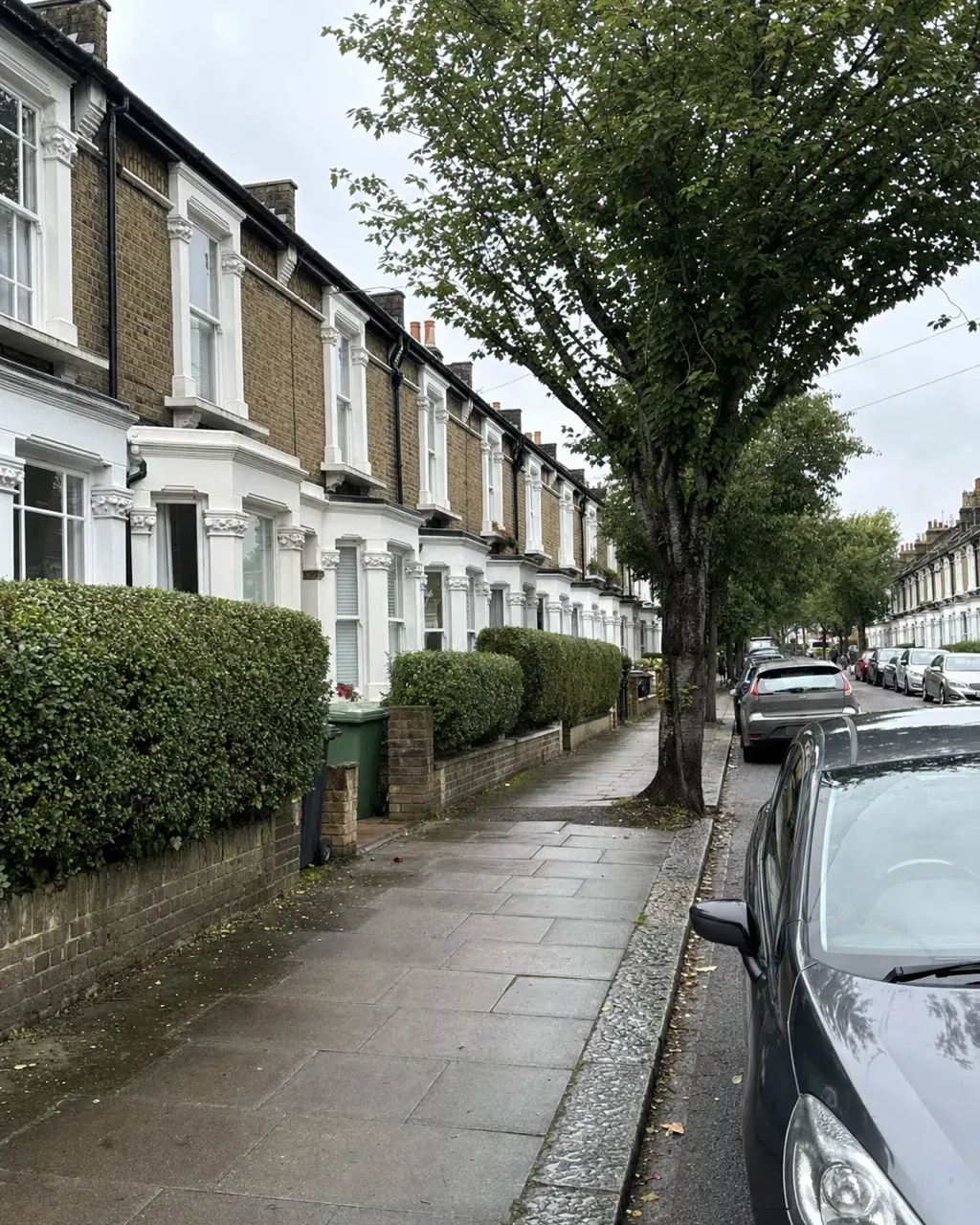 A Northcote street of well kept Victorian terraces with white painted bay windows and neatly clipped front hedges behind low walls, on a damp pavement under a mature tree